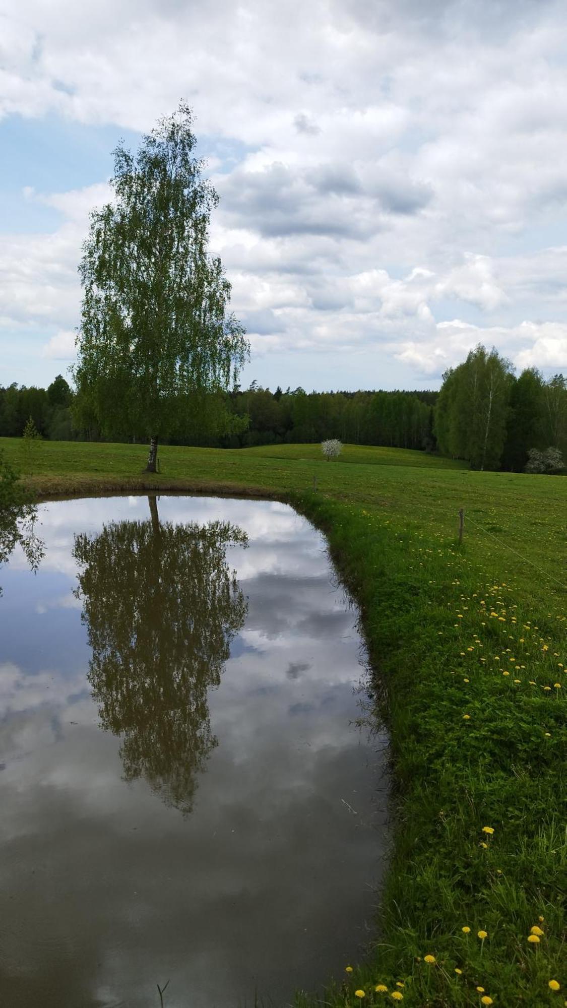 Guesthouse, Sauna & Jacuzzi In Gauja Valley - Kakukalns Straupe ภายนอก รูปภาพ