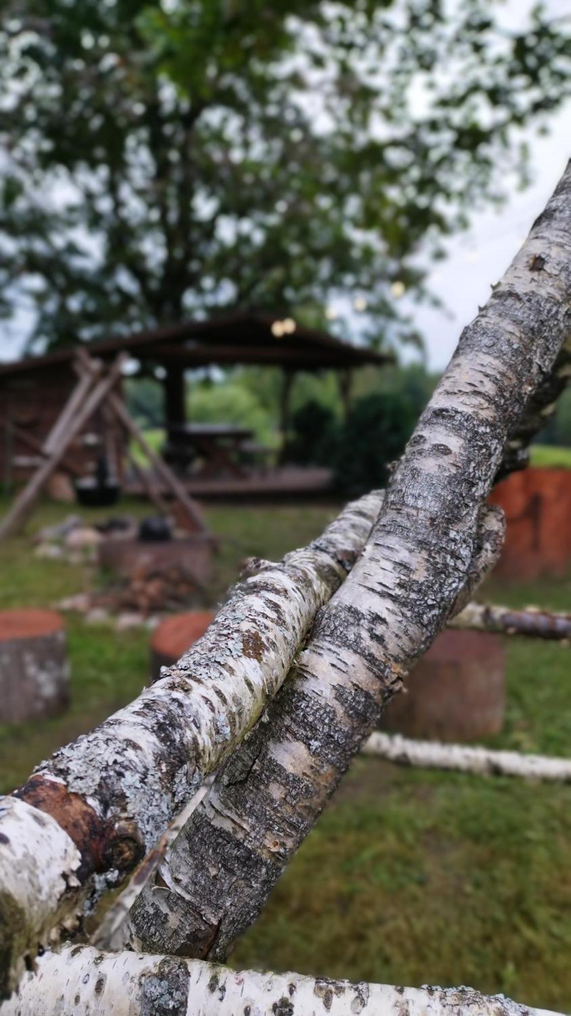 Guesthouse, Sauna & Jacuzzi In Gauja Valley - Kakukalns Straupe ภายนอก รูปภาพ