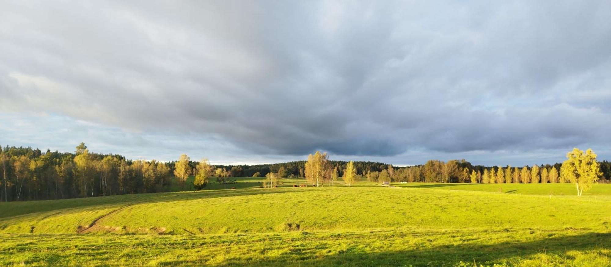 Guesthouse, Sauna & Jacuzzi In Gauja Valley - Kakukalns Straupe ภายนอก รูปภาพ