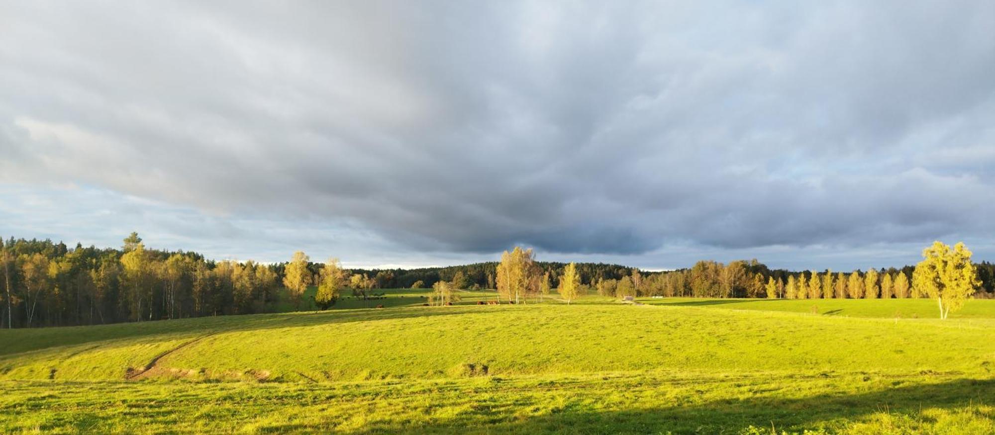 Unique Countryhouse & Sauna In Gauja Valley - Kakukalns Villa Straupe ภายนอก รูปภาพ