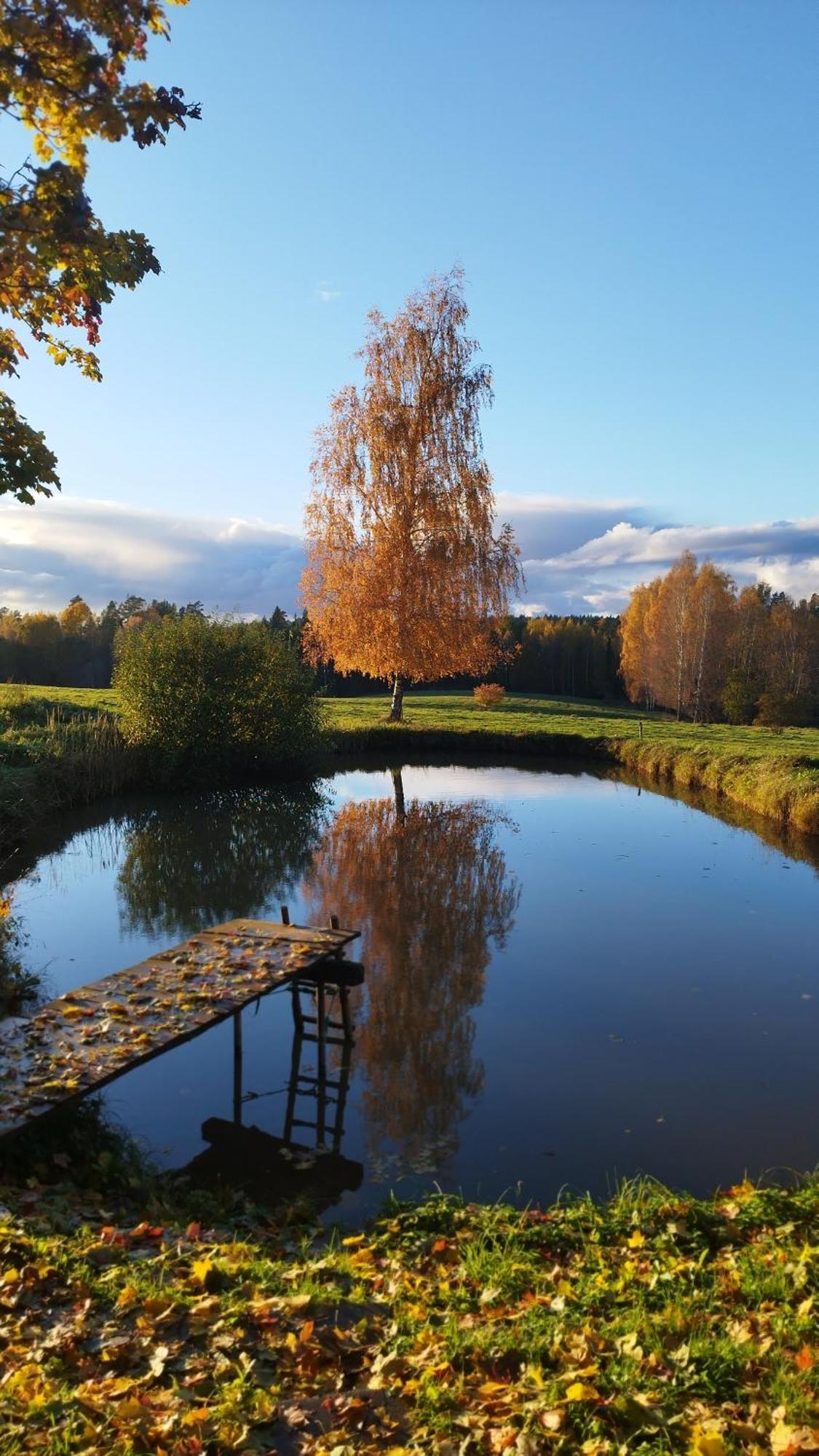 Guesthouse, Sauna & Jacuzzi In Gauja Valley - Kakukalns Straupe ภายนอก รูปภาพ
