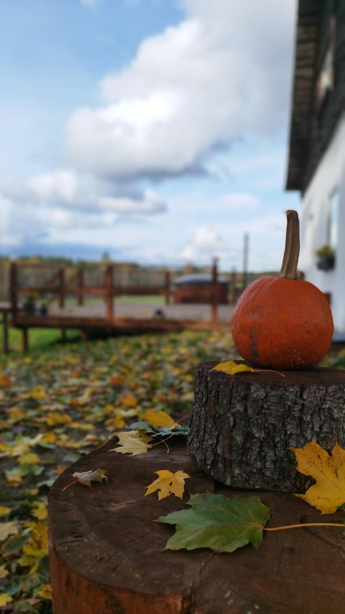Guesthouse, Sauna & Jacuzzi In Gauja Valley - Kakukalns Straupe ภายนอก รูปภาพ